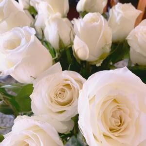 Meet your Posher, Elsie